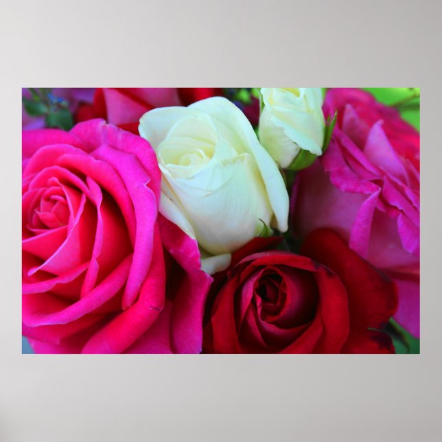 Impressão rosa (Frente)
