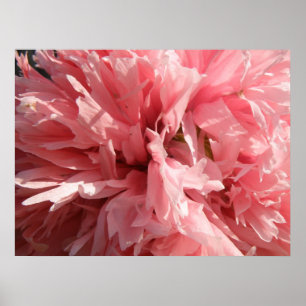 Impressão Rosa bonito