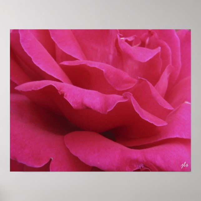 impressão rosa quente (Frente)