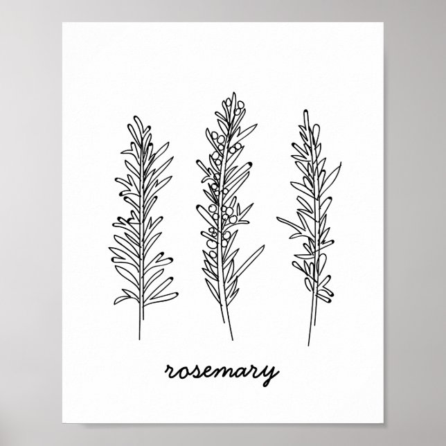 Impressão Rosemary Illustration (Frente)