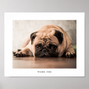 Impressão Simples de Foto e Nome de Animal de Esti