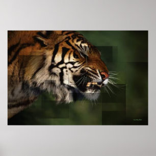 Impressão Tiger