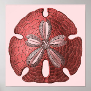 Impressão vermelho do poster do dólar de areia