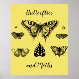 Impressão Vintage de Borboletas e Mariposas