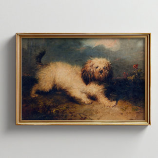 Impressão Vintage de Cachorro Cavapoo Download Ins