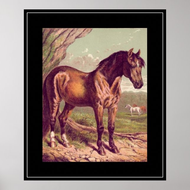 Impressão Vintage de Cavalo dos anos 1800 (Frente)