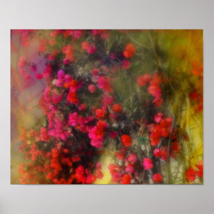 Impressionismo Red Bougainvillea Poster