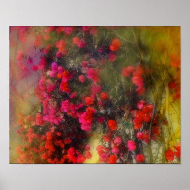 Impressionismo Red Bougainvillea Poster (Frente)