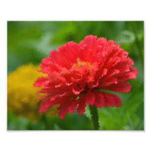 Impressionista Impressão de Foto Zinnia