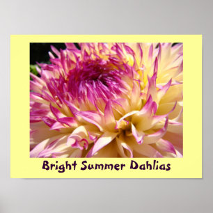 Impressões artísticas de Dálias de Verão Brilhante