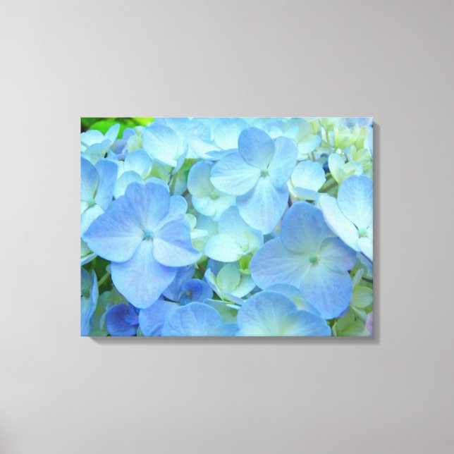 Impressões artísticas de flores de Hortênsia Azul  (Frente)