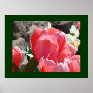 Impressões artísticas de flores de tulipa rosa Jar