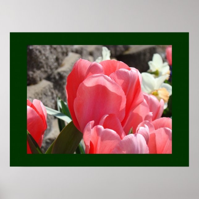 Impressões artísticas de flores de tulipa rosa Jar (Frente)