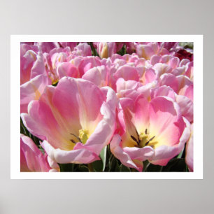 impressões artísticas de jardim de flores de tulip