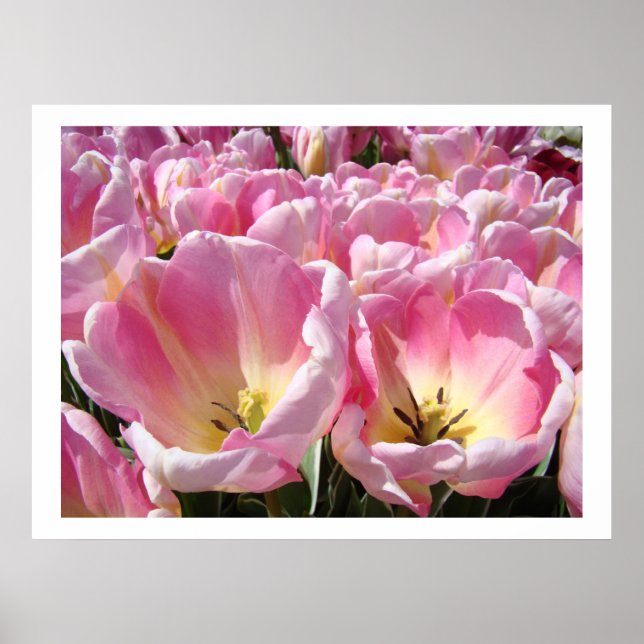 impressões artísticas de jardim de flores de tulip (Frente)