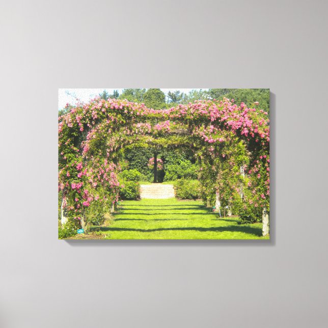 Impressões da Canvas rosa (Frente)