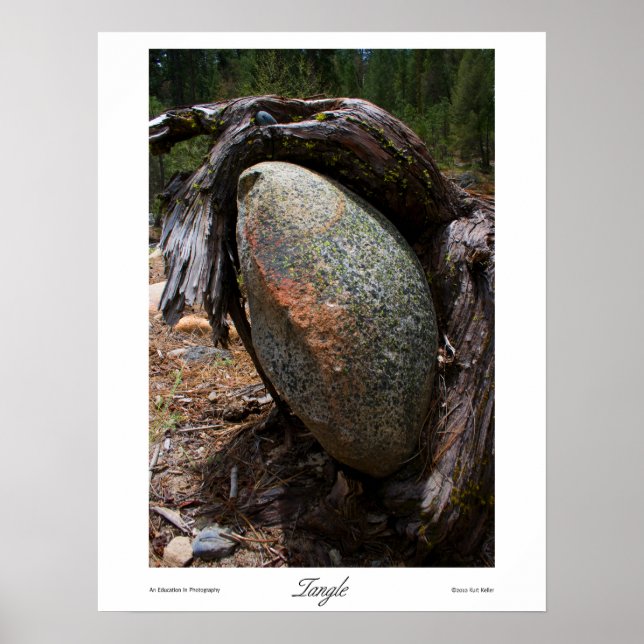 Impressões de ângulo (Frente)