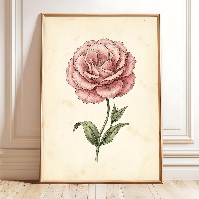Impressões de Arte Botânica de Lisianthus (Criador carregado)