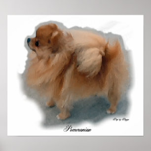 Impressões de Arte da Pomerânia