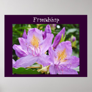 Impressões de arte de amizade Flores de Rhodies Ro