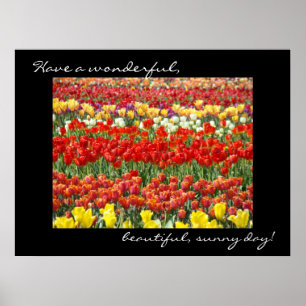 Impressões de arte de flor de Tulipa Dia Maravilho