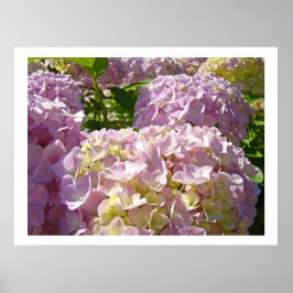 Impressões de arte de flores de Hortênsia Flora RO
