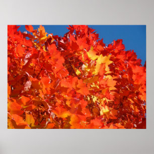 Impressões de arte de Folhas de Outono Vermelho La