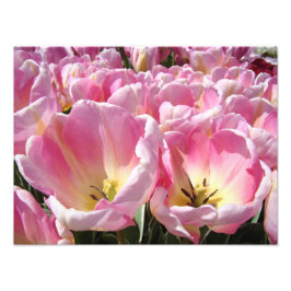 Impressões de arte de fotografia floral Tulipas Fl