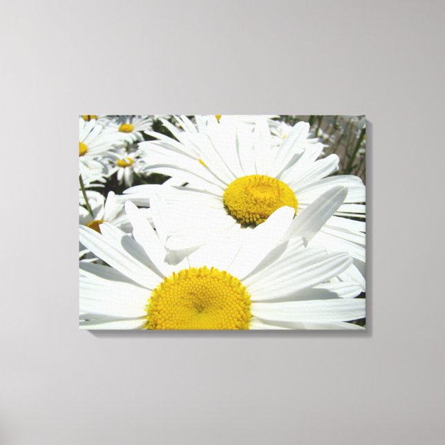 Impressões de arte de jardim de flores de margarid (Frente)