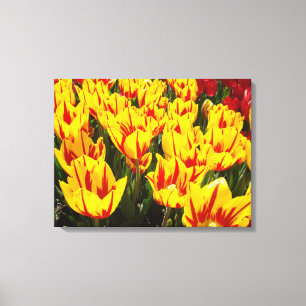 Impressões de Arte Decorativa Flores de Tulipa Ama
