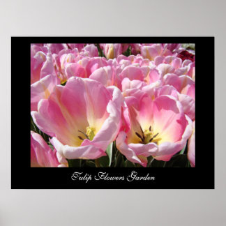 Impressões de arte do Jardim de Flores de Tulipa T