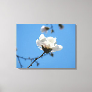 Impressões de arte em tela Céu Azul Flor de Magnól