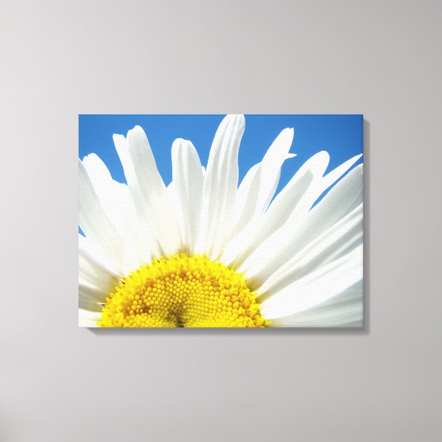 Impressões de arte em tela de flores de margaridas (Frente)