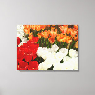 Impressões de Arte em Tela Floral de Primavera Flo