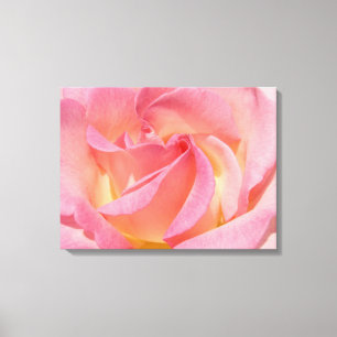 Impressões de Arte em Tela Floral Espiral Rosa