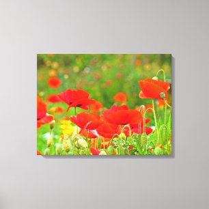 Impressões de Arte em Tela Flores Vermelhas Papoul