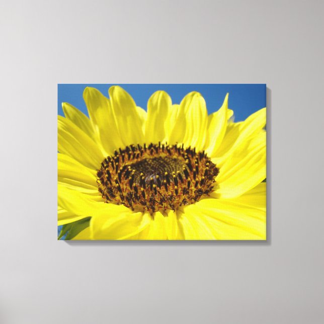 Impressões de arte em tela Girassol Amarelo Céu Az (Frente)