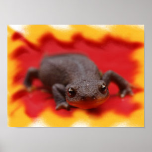 Impressões de Arte Finas de Eu Amo Tritões
