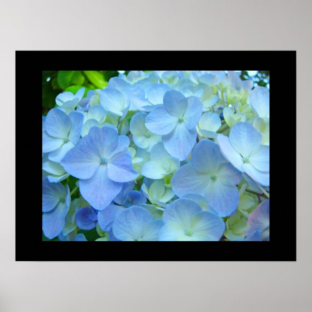 Impressões de Arte Florais de Flores Azuis de Hort (Frente)