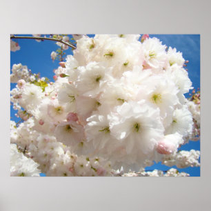Impressões de Arte Floral Árvore Rosa na Primavera