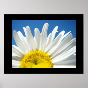 Impressões de Arte Floral do Céu Azul