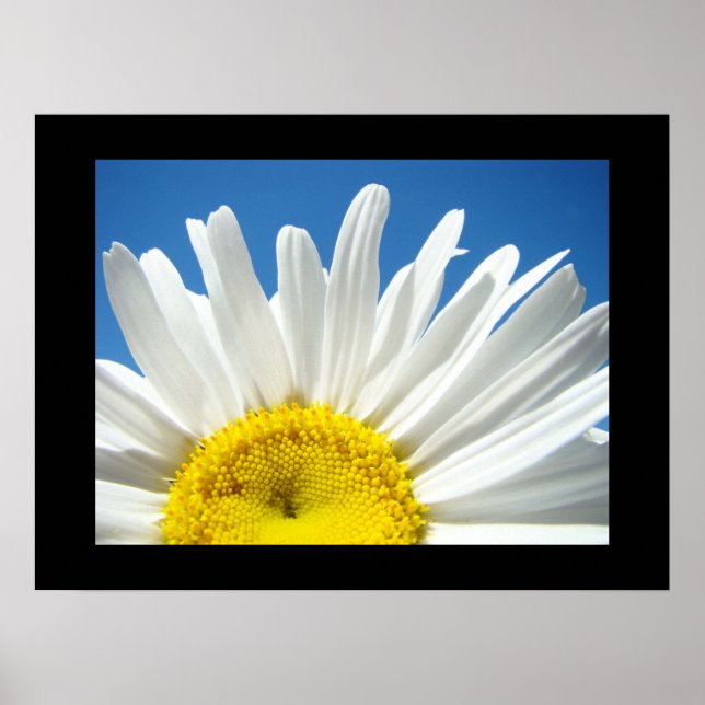 Impressões de Arte Floral do Céu Azul (Frente)