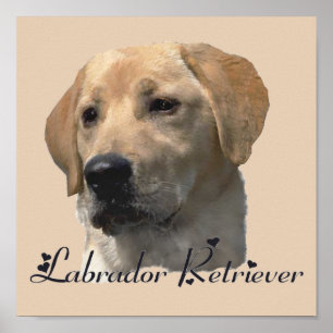 Impressões De Arte Labrador Retriever