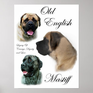 Impressões de Arte Mastiff Inglês