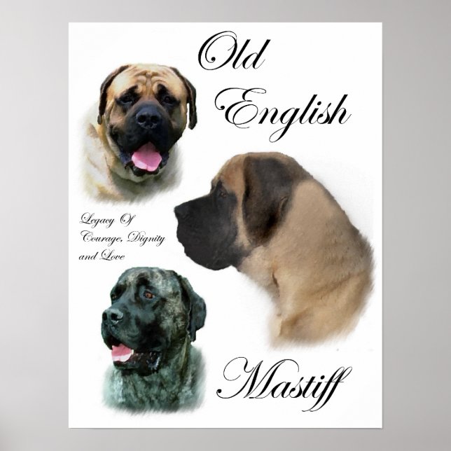 Impressões de Arte Mastiff Inglês (Frente)