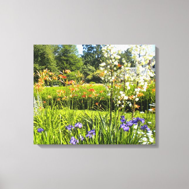Impressões de Canvas Iris N Daylily (Frente)