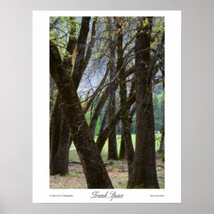 Impressões de Espaço de Tronco