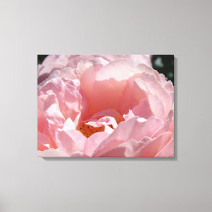 impressões de fotografia de canvas de Jardim rosa