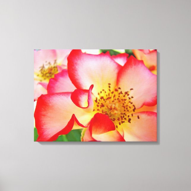 impressões de fotografia de Canvas Floral rosa (Frente)