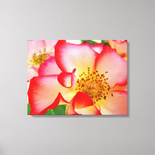 impressões de fotografia de Canvas Floral rosa